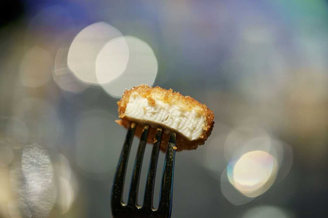 A nugget made from lab-grown chicken meat is seen during a media presentation in December 2020 in Singapore, the first country to allow the sale of such products