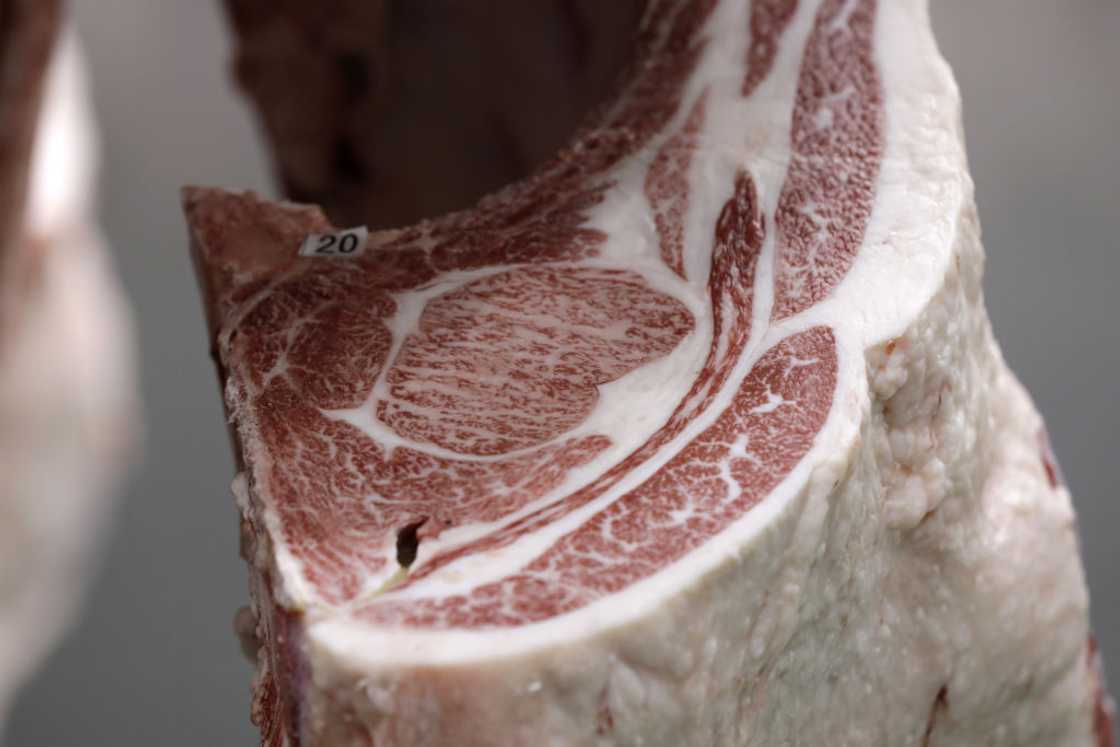 most expensive steak in the world most expensive steak in the world