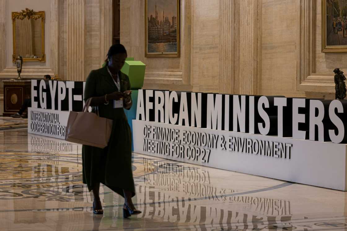 The African Ministers of Finance, Economy and Environment Meeting for the COP27 climate summit has been held at the New Administrative Capital east of Cairo