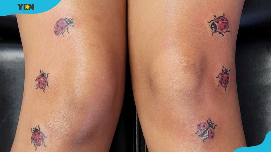 A playful collection of ladybug tattoos on both knees A playful collection of ladybug tattoos on both knees