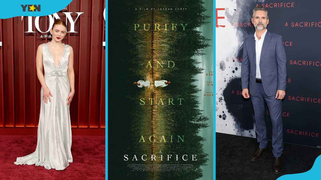 Actress Sadie Sink (L), the Berlin Nobody movie cover art (C), actor Eric Bana (R) Actress Sadie Sink (L), the Berlin Nobody movie cover art (C), actor Eric Bana (R)