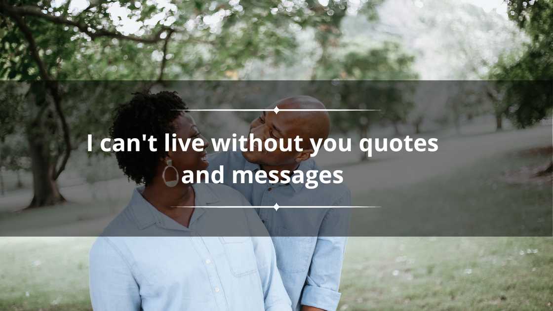 I can't live without you quotes