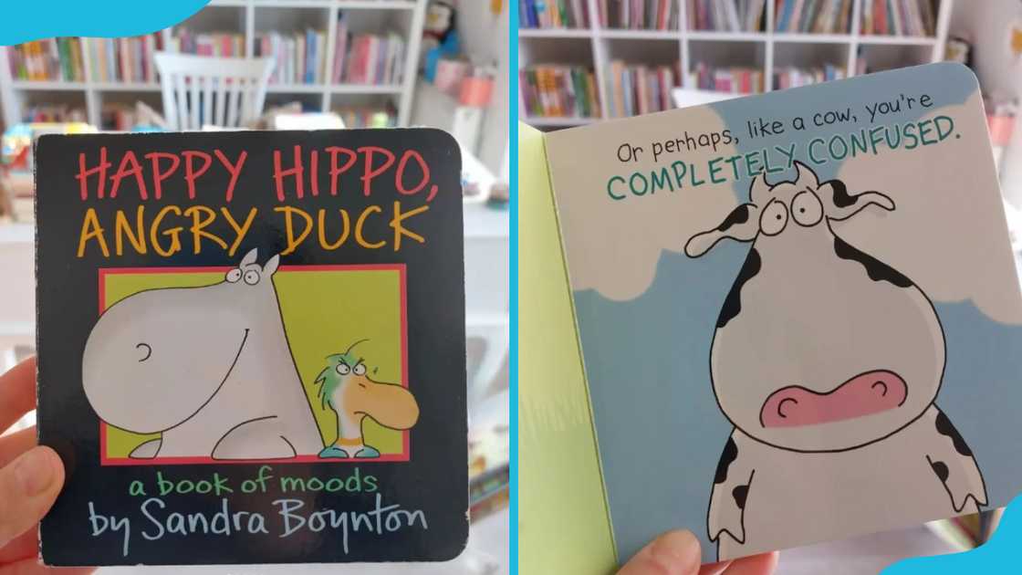 Happy Hippo, Angry Duck