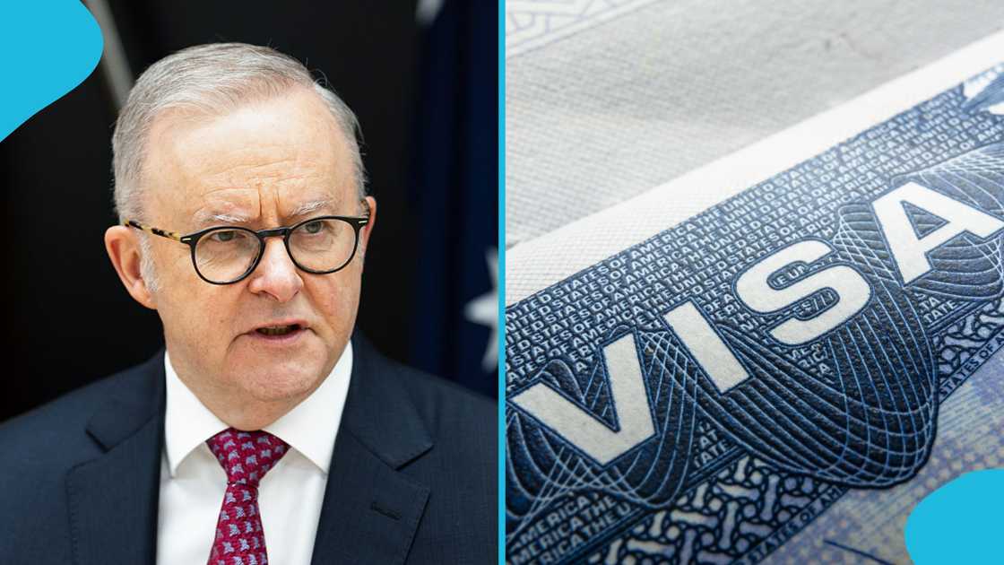 Australia Work and Holiday visa, Subclass 462 visa, Australia visa applications paused, Brazil visa cap, Mongolia visa cap, Australia visa limits, Work and Holiday visa Brazil Australia Work and Holiday visa, Subclass 462 visa, Australia visa applications paused, Brazil visa cap, Mongolia visa cap, Australia visa limits, Work and Holiday visa Brazil