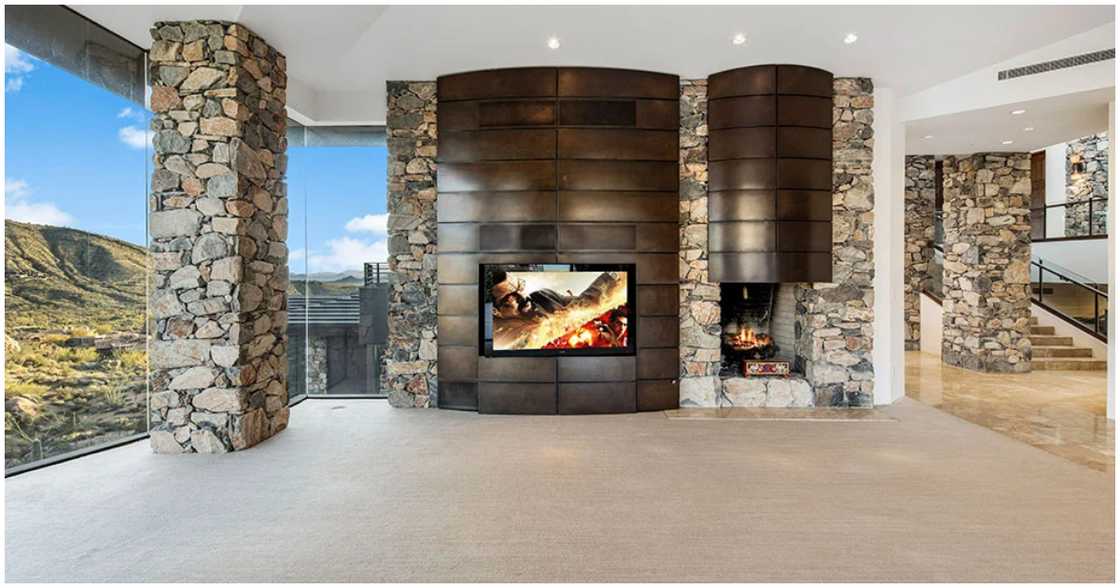 The living room The living room