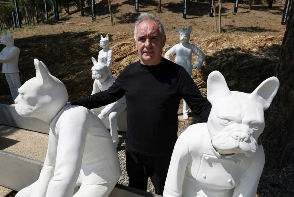Spanish chef Ferran Adria poses next to sculptures he calls "Bullinanos" outside the elBulli restaurant which is set to reopen as a museum Spanish chef Ferran Adria poses next to sculptures he calls "Bullinanos" outside the elBulli restaurant which is set to reopen as a museum