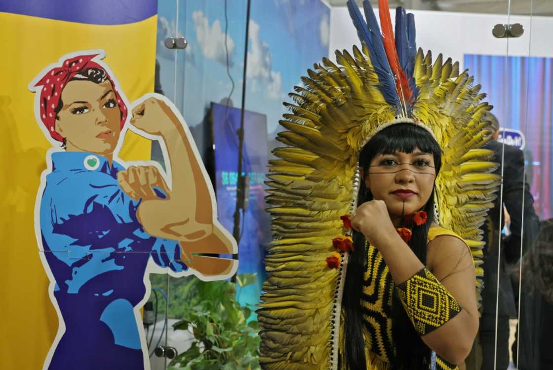 Members of Brazil's Indigenous communities have canvassed COP27 participants, urging action and donning traditional clothes to draw attention to their plight Members of Brazil's Indigenous communities have canvassed COP27 participants, urging action and donning traditional clothes to draw attention to their plight