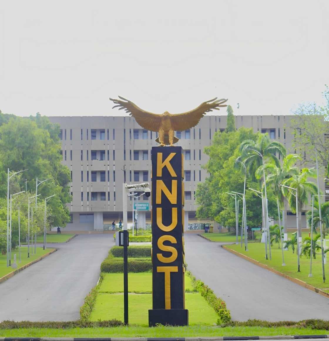 KNUST, Ghana, Student, Trotro, Mate, Fees, Exam