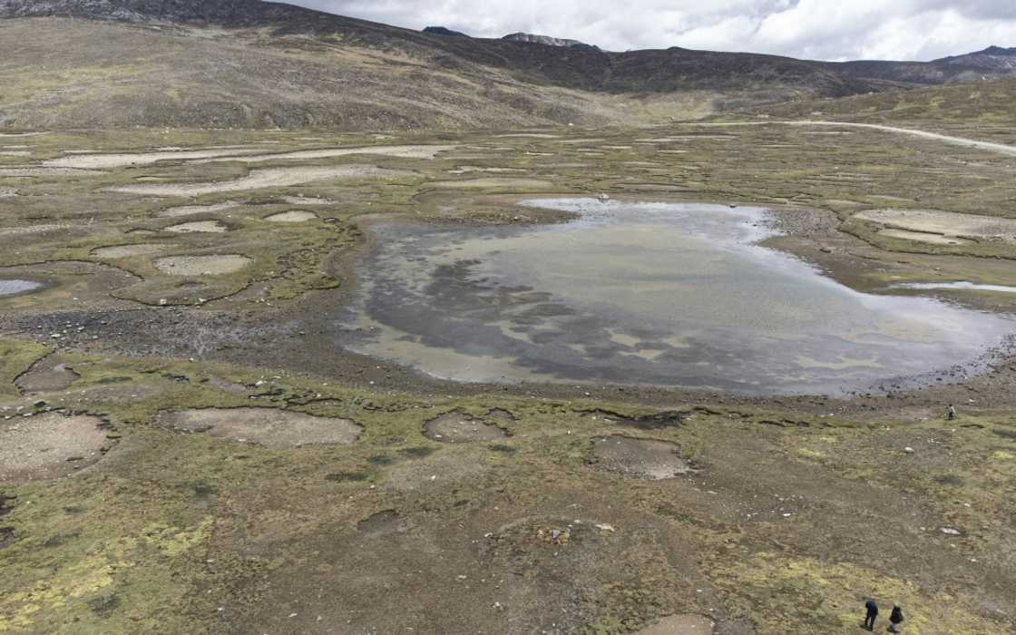The Junin region is one of Peru's main producers of non-genetically modified potatoes, but the lakes are dry The Junin region is one of Peru's main producers of non-genetically modified potatoes, but the lakes are dry