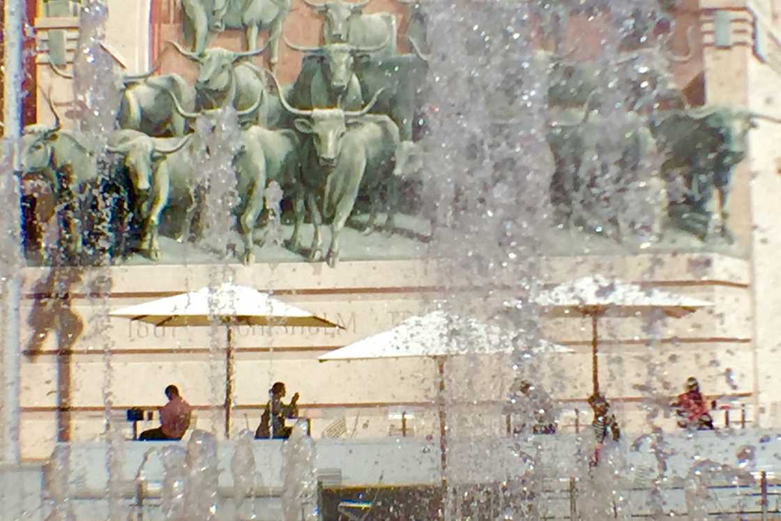 things to do in Fort Worth things to do in Fort Worth