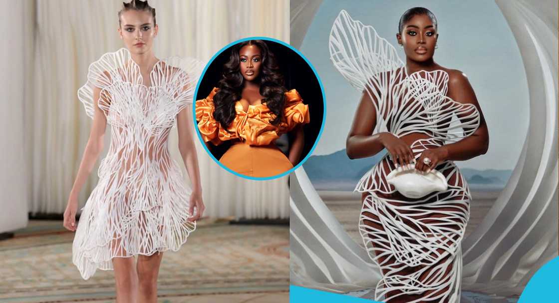 Nigerian blogger says Nana Akua stole her AMVCA dress design from a French designer Nigerian blogger says Nana Akua stole her AMVCA dress design from a French designer