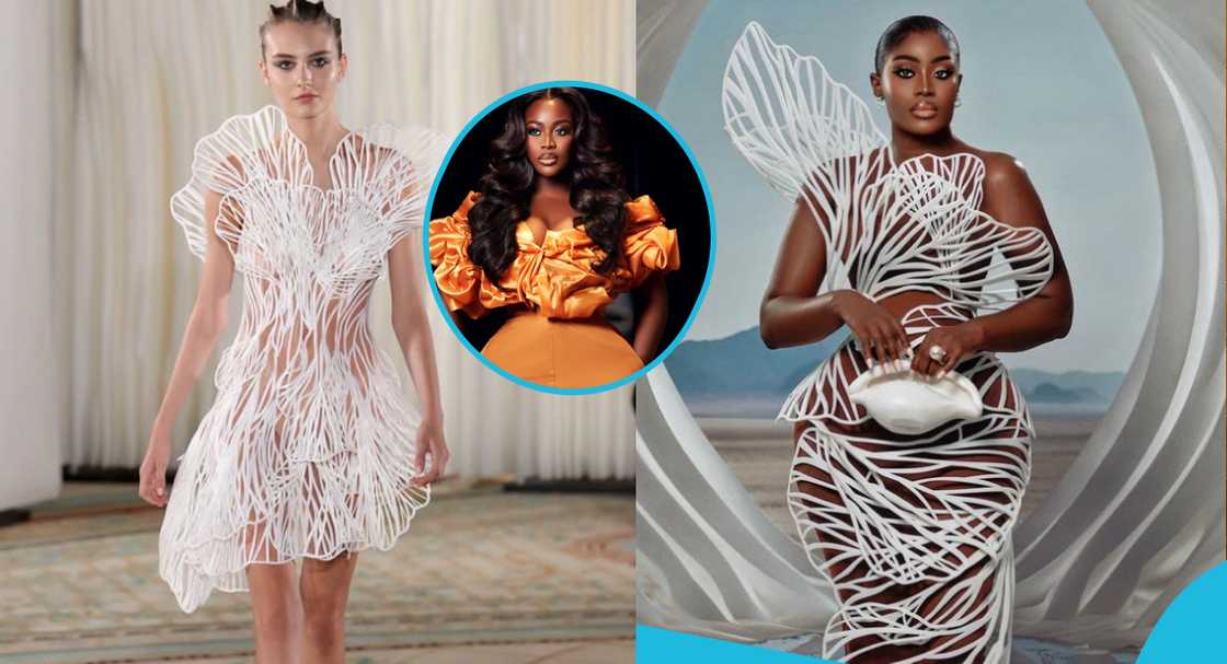 Nigerian blogger says Nana Akua stole her AMVCA dress design from a French designer