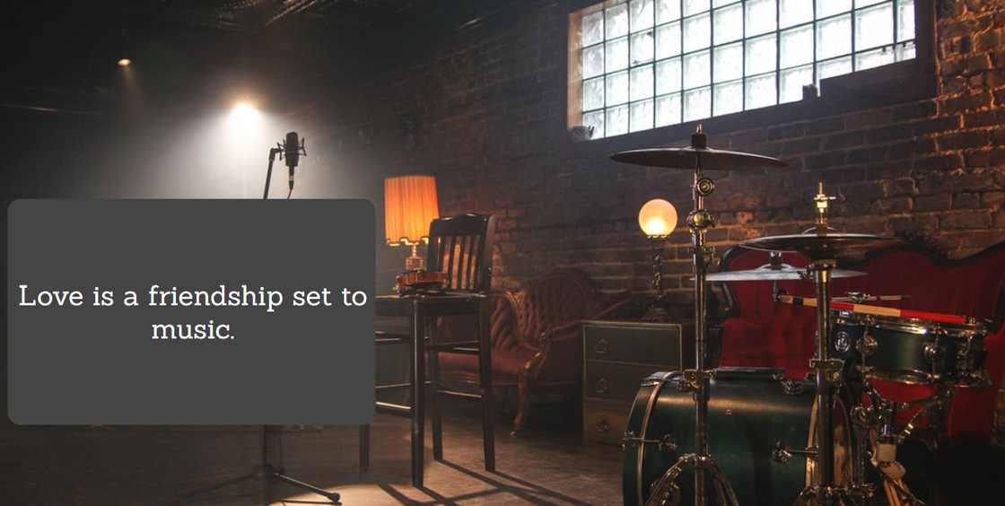 silly quotes silly quotes