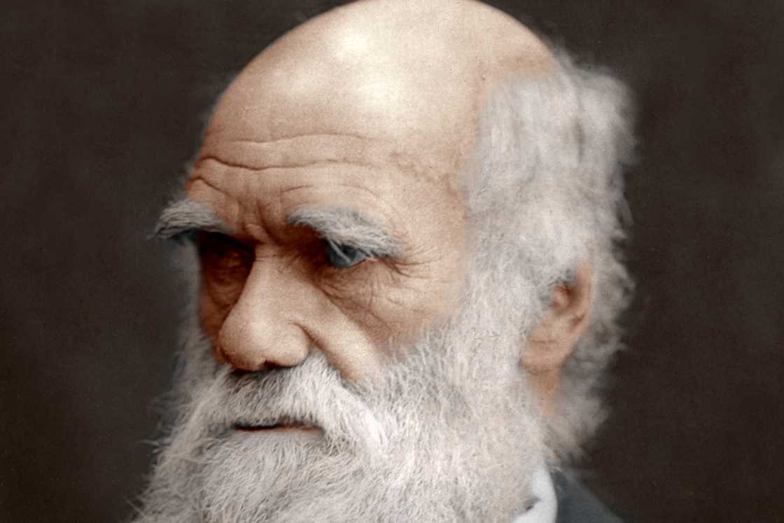 people who changed the world people who changed the world