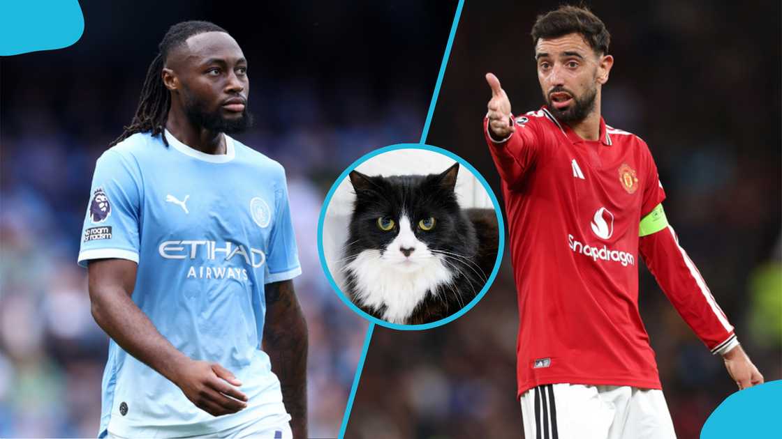 Psychic Cat Predicts Winner of Man United vs Man City Premier League Clash