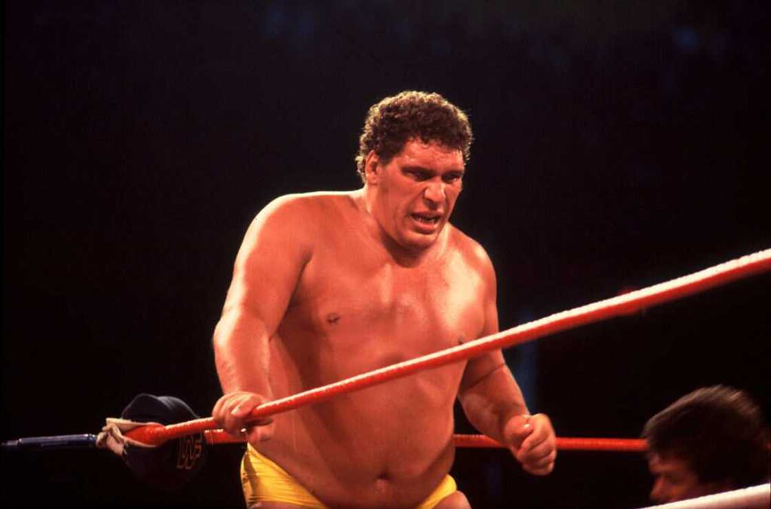 How big was Andre the Giant How big was Andre the Giant