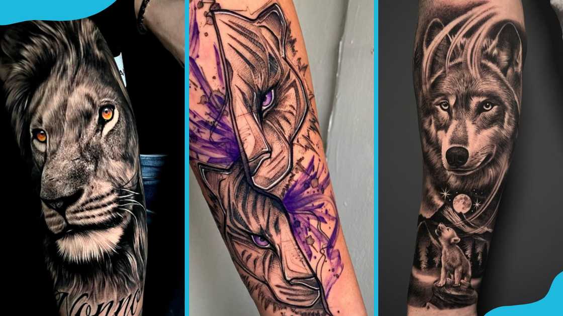 Animal designs Animal designs