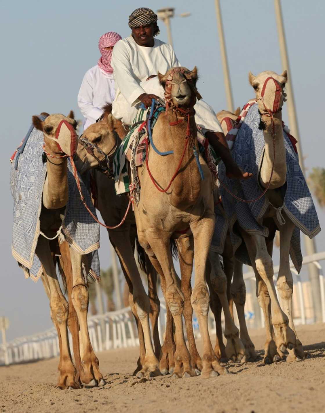 Bets are forbidden in the Islamic country, but jockeys play for highly valuable prizes usually offered by the ruling family Bets are forbidden in the Islamic country, but jockeys play for highly valuable prizes usually offered by the ruling family