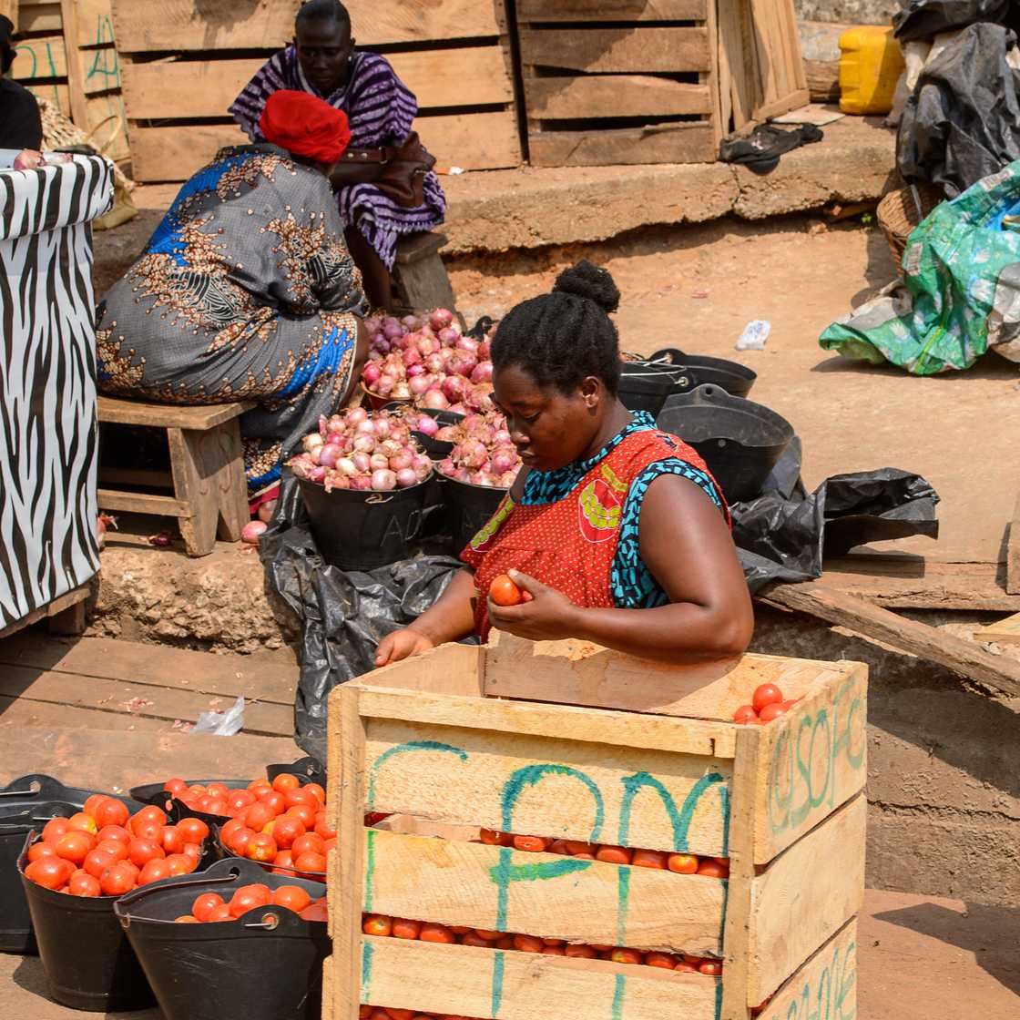 Emmanuel Ayensu Obeng, CCTV expert, CCTV fixing in Ghana, Ayensu1 Electronics, From zero to hero, Life in Tema, Tema we dey, Tomato seller. Emmanuel Ayensu Obeng, CCTV expert, CCTV fixing in Ghana, Ayensu1 Electronics, From zero to hero, Life in Tema, Tema we dey, Tomato seller.