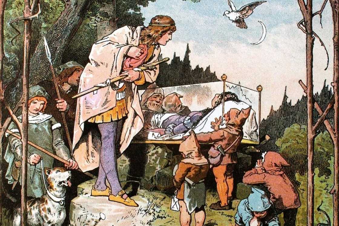 The seven dwarfs and lifeless Snow White The seven dwarfs and lifeless Snow White