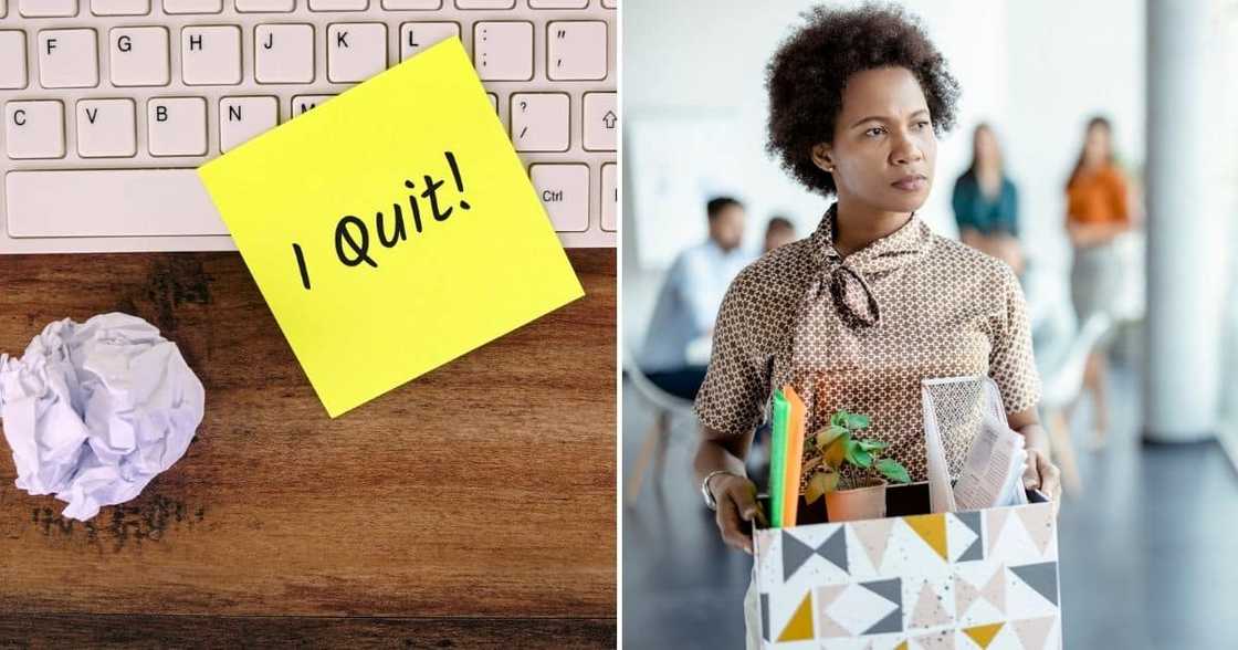 Petty CEO, Work From Home, Quit Petty CEO, Work From Home, Quit