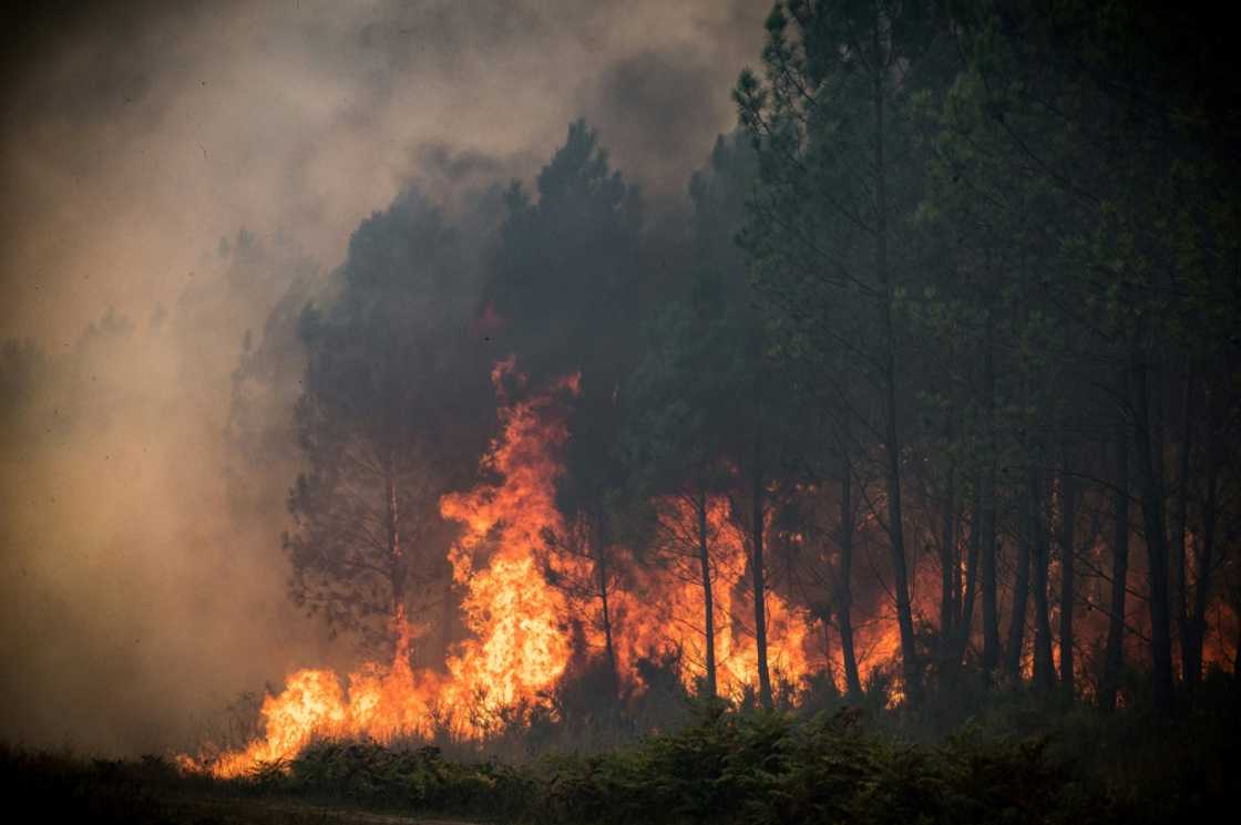 Record heatwaves and drought have sparked devastating wildfires in Europe Record heatwaves and drought have sparked devastating wildfires in Europe