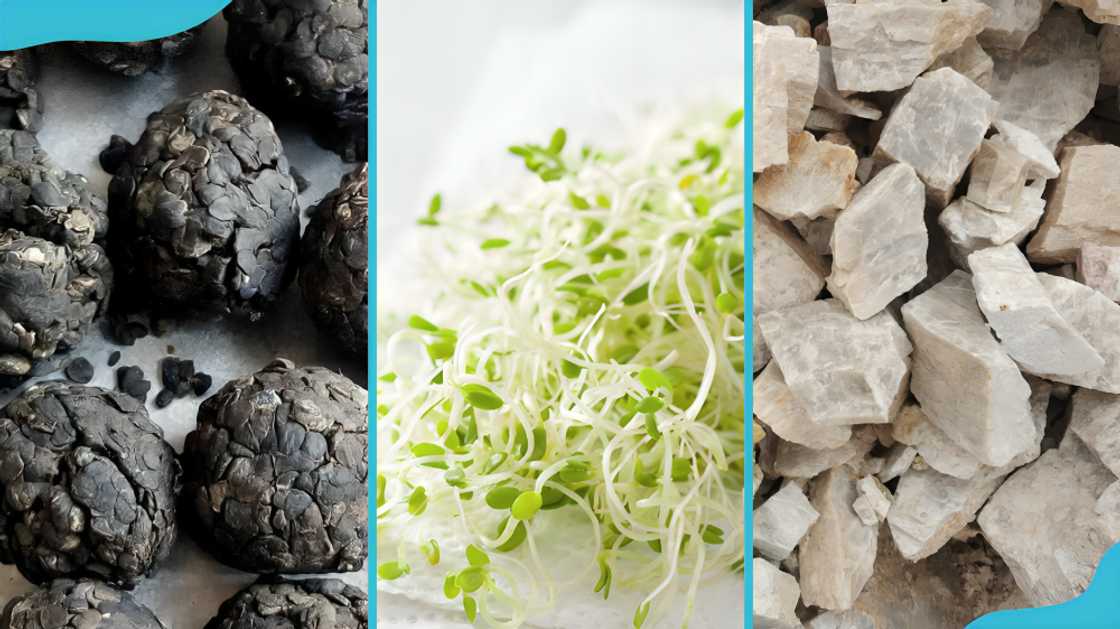 spices in Ghana spices in Ghana