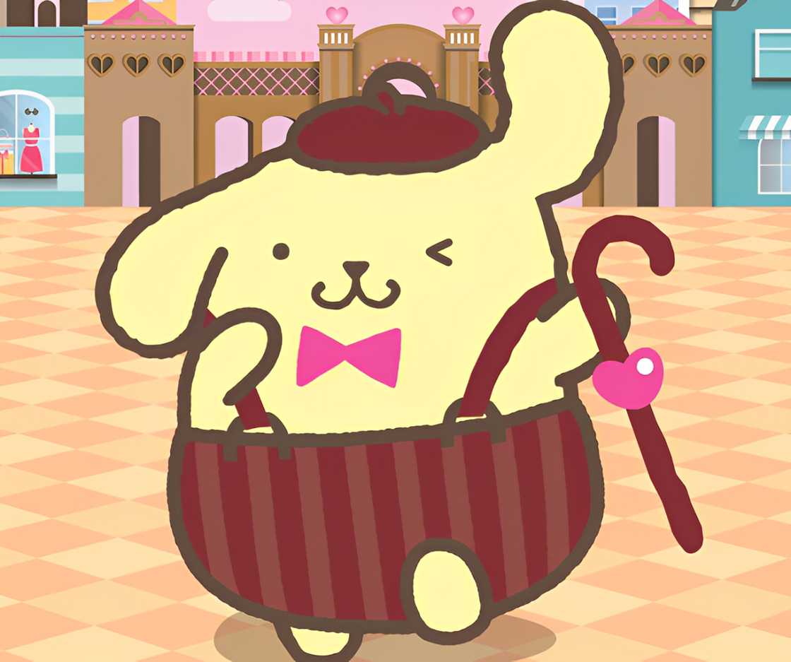 Sanrio character, Pompompurin Sanrio character, Pompompurin