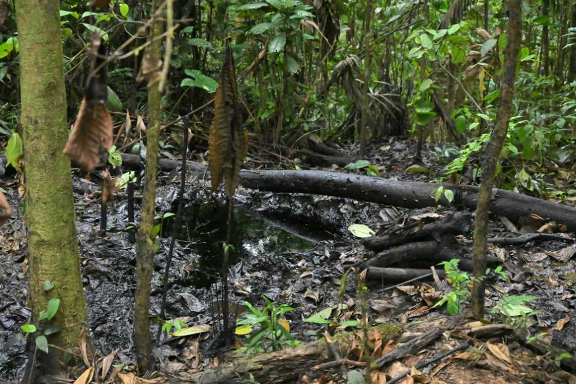 View of the site of an oil spill near the village of Waorani, inside Yasuni National Park in Orellana Province, Ecuador, taken on August 27, 2024