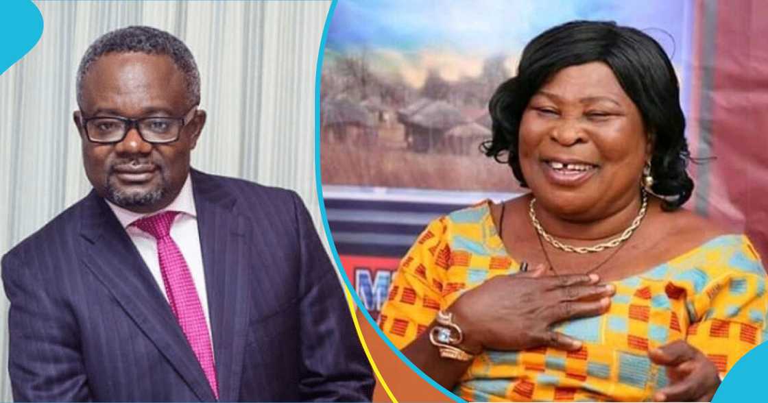 Liberal Party of Ghana, LPG flagbearer, Kofi Akpaloo, Akua Donkor, Ghana 2024 elections, Electoral Commission of Ghana, December polls