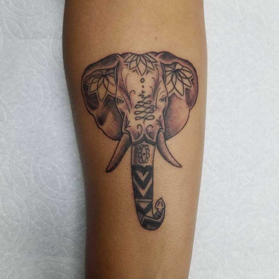 Elephant tattoo Elephant tattoo