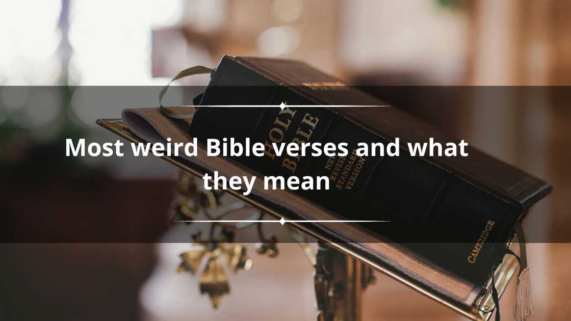 Most disturbing Bible verses