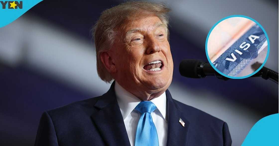 United States, US, Department of State, visa suspension, citizens of 19 countries, foreign nationals, American consular policy United States, US, Department of State, visa suspension, citizens of 19 countries, foreign nationals, American consular policy