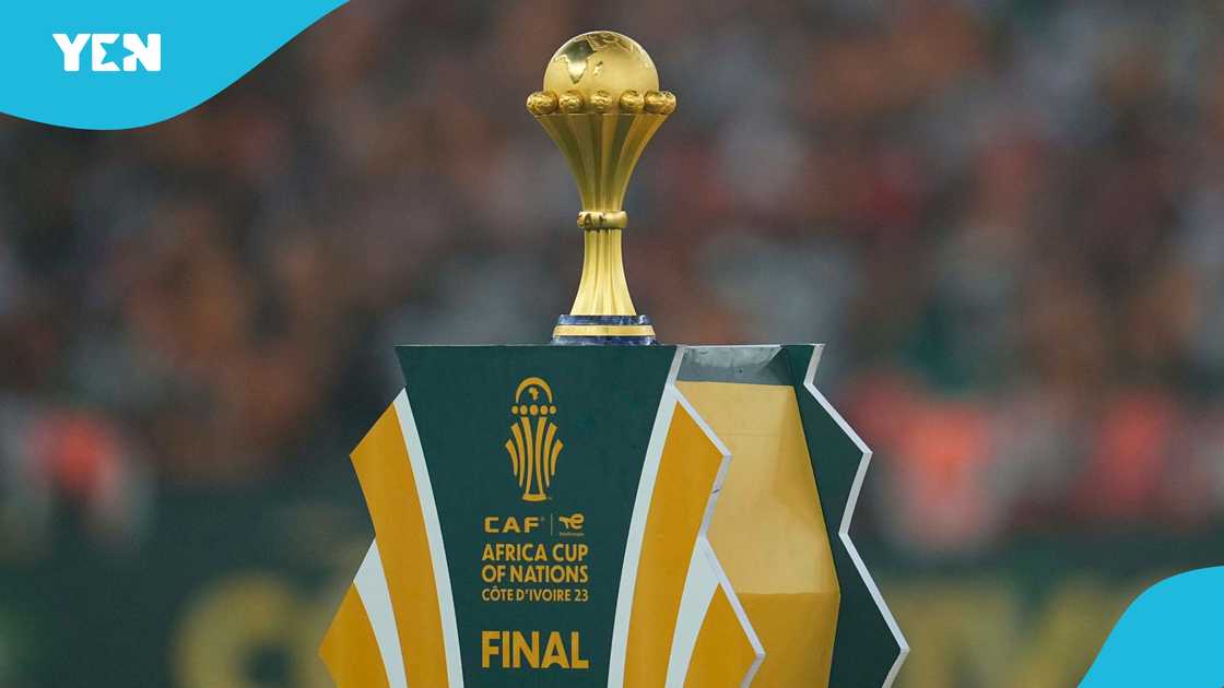 Senegal vs Morocco: Cat with Near Perfect Prediction Record Names AFCON 2025 Winner Senegal vs Morocco: Cat with Near Perfect Prediction Record Names AFCON 2025 Winner