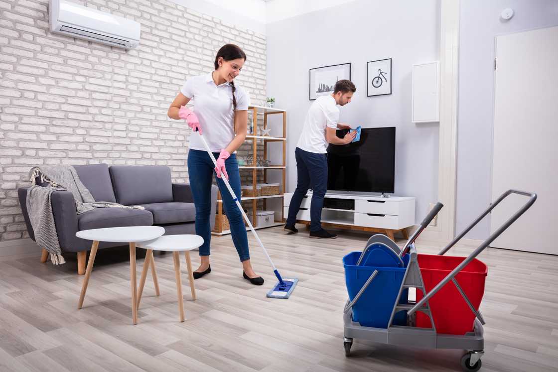 Young workers cleaning the house