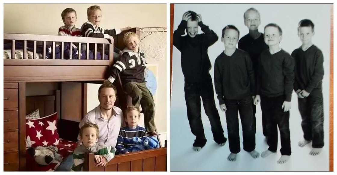 Griffin Musk Griffin Musk