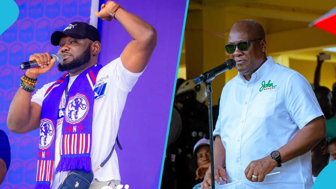 Prince David Osei, John Dramani Mahama, 2024 Ghana elections, Insults to Mahama, Ghana's new president, President-elect