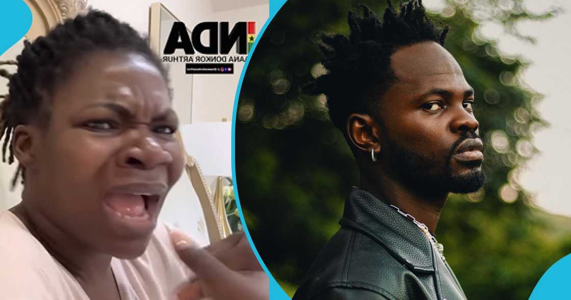 Naana Donkor Replies Fameye's Claim About Ghanaians Abroad Not Patronising Their Shows: "Pay Promoters" Naana Donkor Replies Fameye's Claim About Ghanaians Abroad Not Patronising Their Shows: "Pay Promoters"