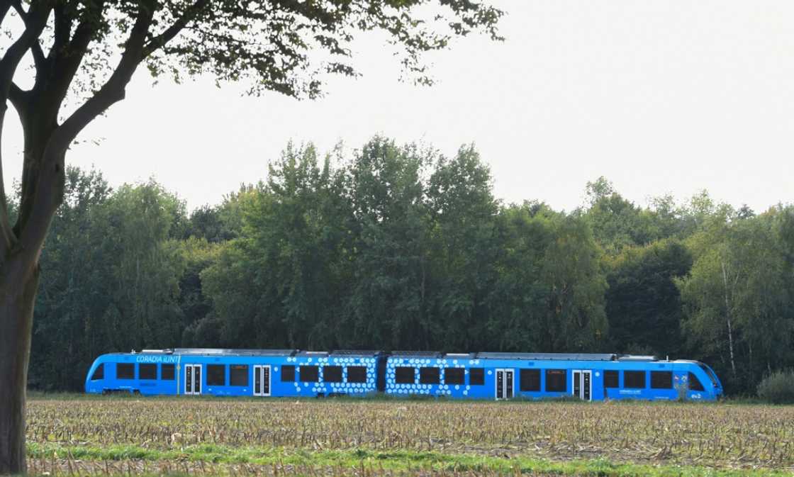 From Wednesday, only hydrogen-powered trains will run on a German regional line in 'world first' From Wednesday, only hydrogen-powered trains will run on a German regional line in 'world first'