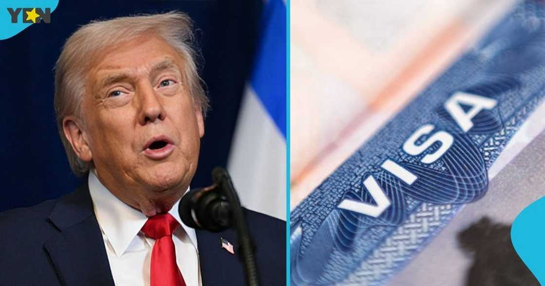 US, United States, Department of State, DV-2026 programme, Diversity Visa programme, 19 countries barred from participating