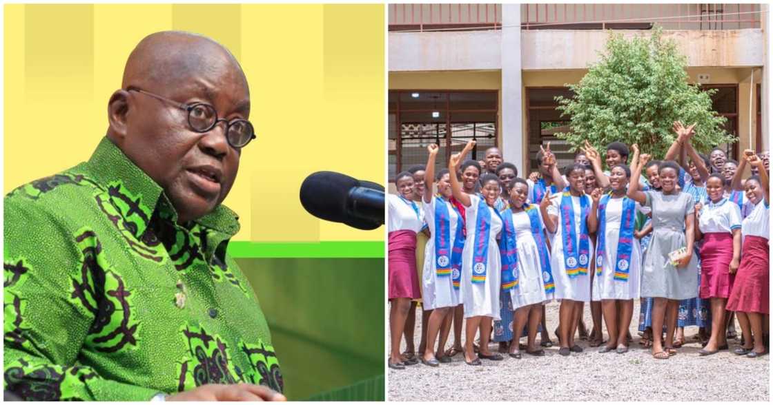 President Nana Akufo-Addo free SHS President Nana Akufo-Addo free SHS
