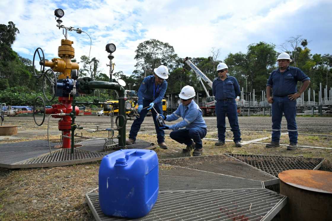 State-owned Petroecuador is authorized to exploit about 300 hectares of the Yasuni State-owned Petroecuador is authorized to exploit about 300 hectares of the Yasuni