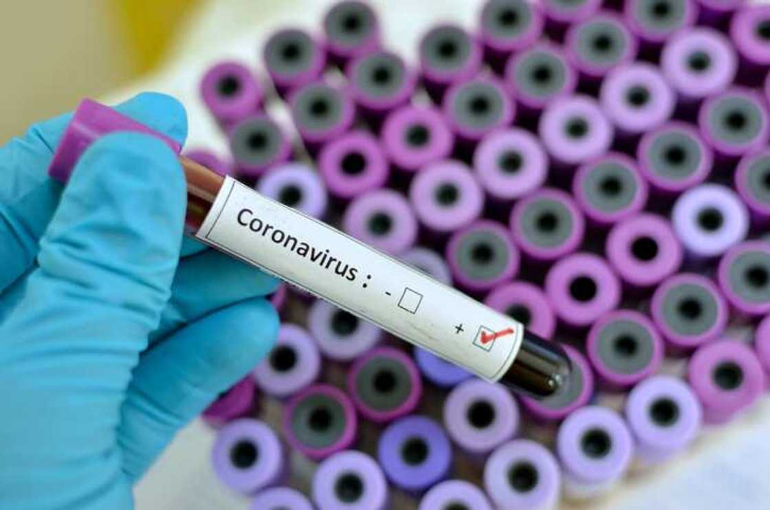 Most contagious COVID-19 variant from India recorded in Ghana - WACCBIP Most contagious COVID-19 variant from India recorded in Ghana - WACCBIP