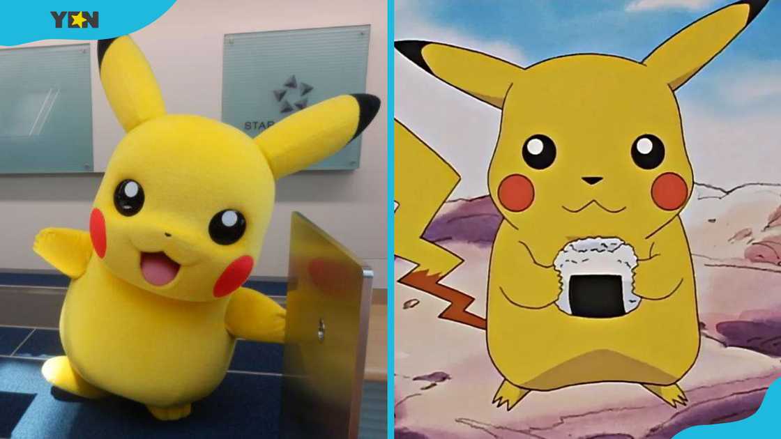 Pikachu is the electric mouse Pokémon Pikachu is the electric mouse Pokémon