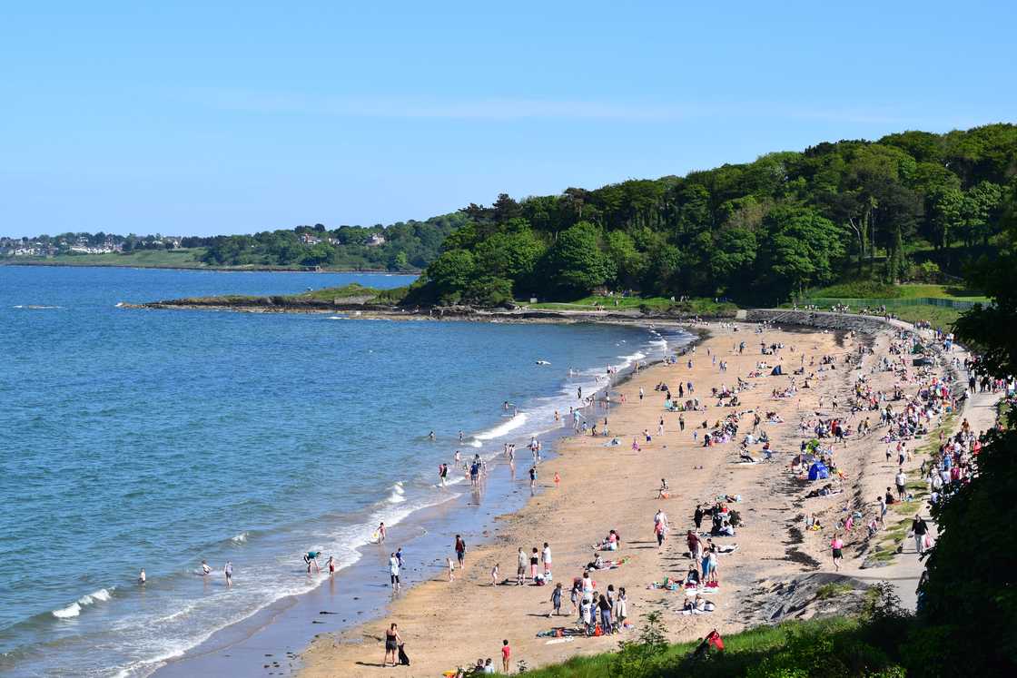 View of Portrane beach, Donabate View of Portrane beach, Donabate