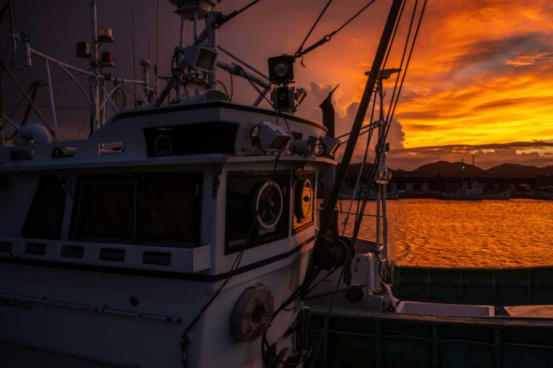 Experts warned against using innovation to increase fishing hauls Experts warned against using innovation to increase fishing hauls