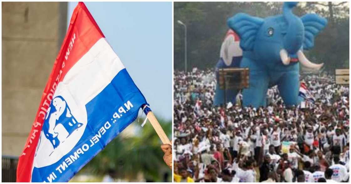 NPP flag and elephant NPP flag and elephant