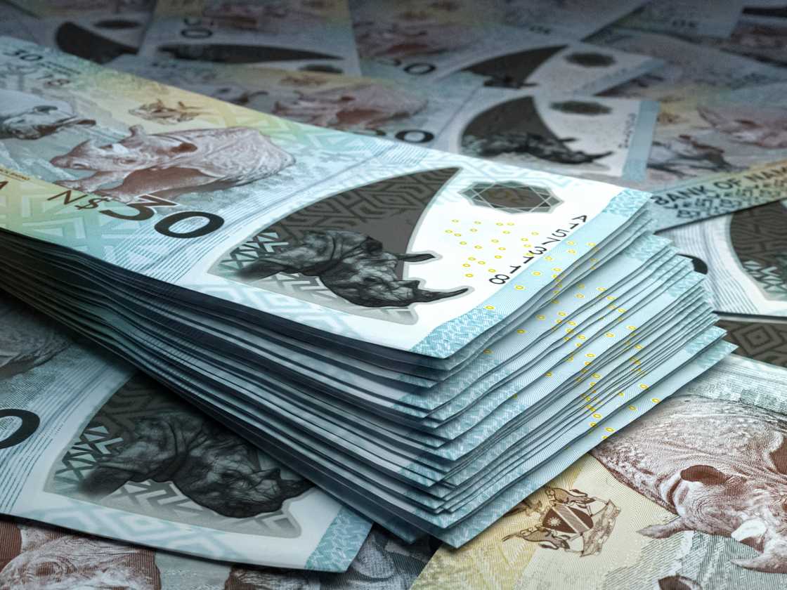 Namibian dollar bills on a table Namibian dollar bills on a table