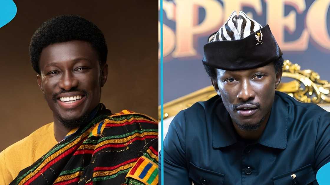 New Force, election 2024, 12 Pillars for Economic Freedom, policy initiatives, Ghana New Force, election 2024, 12 Pillars for Economic Freedom, policy initiatives, Ghana