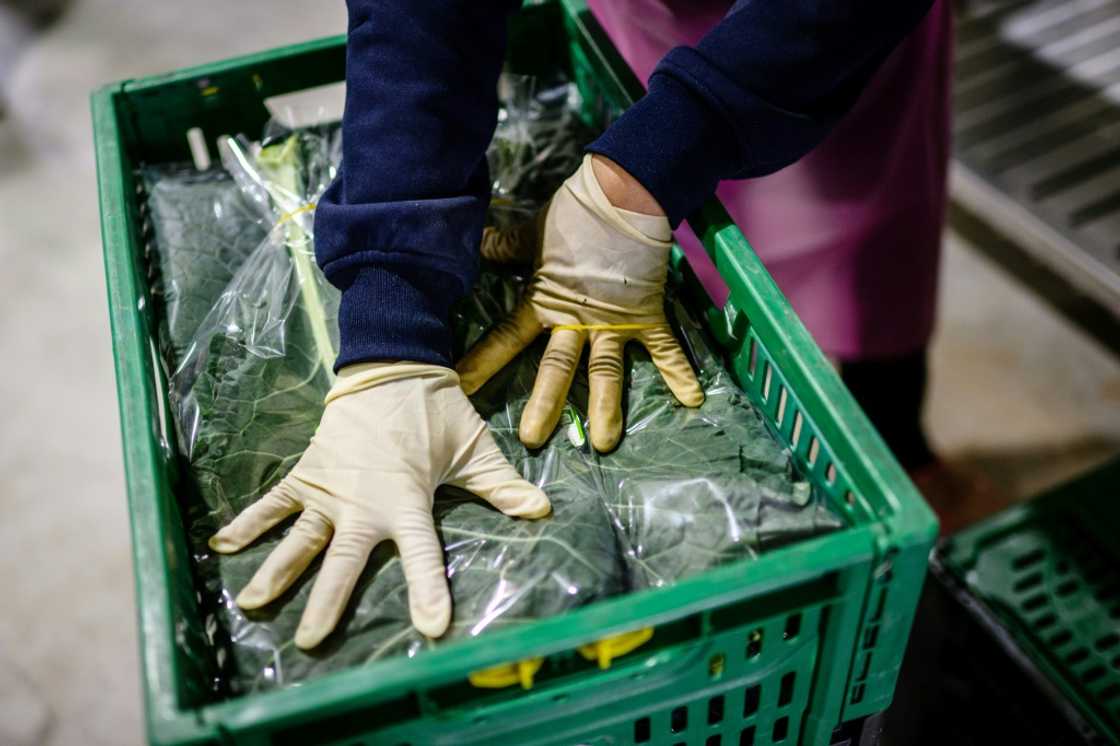 Kurly customers can order rare beef, hand-made bread, or pick one of more than a dozen varieties of local, hard-to-find apples Kurly customers can order rare beef, hand-made bread, or pick one of more than a dozen varieties of local, hard-to-find apples